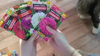 семена цветов на 2025 год😍