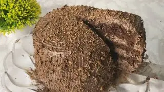 Cake from the movie 