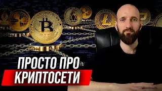 Что такое криптовалютные сети? Как пользоваться криптосетями