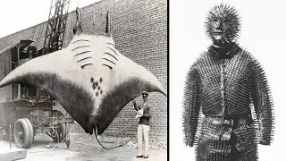 Fotos Históricas Que Você Precisa Ver Antes De Morrer - Parte 2