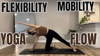 20 Mins Yoga Flow for Flexibility & Mobility || Lubrivate your shoulders, hips, & Spine✨| Beginners