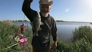 Ловим карасей на поплавочные удочки  р. Самара.