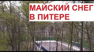 Май, снег в Питере - это нормально :) | 5 мая 2023