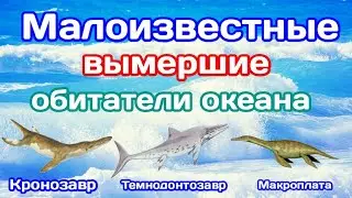 [ЮБИЛЕЙ] Малоизвестные вымершие обитатели океана - Кронозавр, Темнодонтозавр, Макроплата