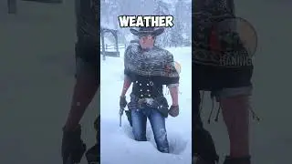 RDR2 - 5 random details missed by players in RDR2 Part 5 