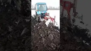 11 грудня 2023 р.