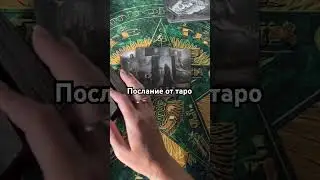 #таро#shorts