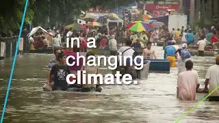 Regenerative Agriculture | The Future of Farming | Bayer