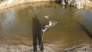 Рыбалка на ручье на диких Сибирских сазанов.