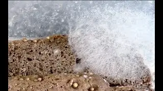 Какой хлеб лучше.