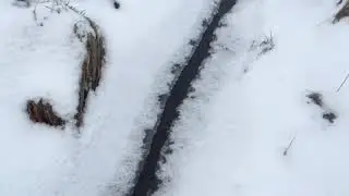 Прогулка в поле, а диких зверей нет