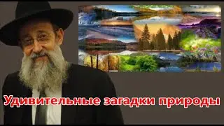 Удивительные загадки природы. Рав Ашер Кушнир