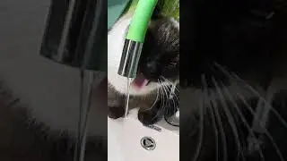 никак не напьётся