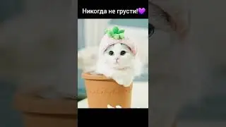 Не грусти! 💜❤️🩵 
