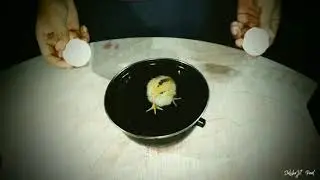 Egg to chicken || Magic conversion ||  Magic trick