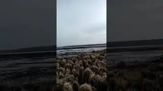 вода уходит с озёр. река Пелым 