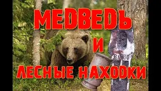 Встреча с медведем.Коп по войне в Ленинградской  области.Фильм 41