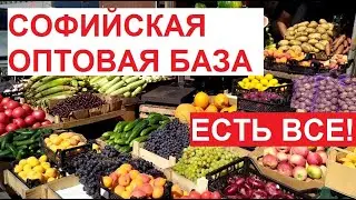 #СофийскаяБаза