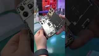 iPhone 16 Pro Утилизация?! Уронил, повреждение дисплея, не работает камера!