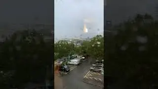 Лисы в Англии 