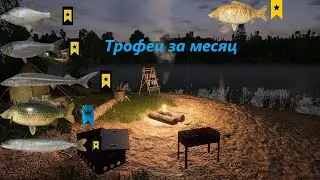 #РР4