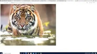 IMAGE CLASSIFICATION USING DEEP LEARNING AND MODEL DEPLOYMENT USING DJANGO - PART 1