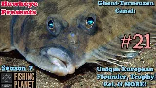 Fishing Planet #21 - S7 | Ghent-Terneuzen Canal: UNIQUE European Flounder, Trophy Eel, & MORE!