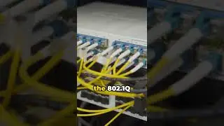 What is 802.1Q ? 