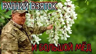 КУРСЫ ДЛЯ НАЧИНАЮЩИХ РАННИЙ МЁД