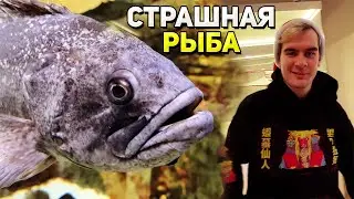 Братишкин ОСКОРБЛЯЕТ РЫБ на ПРОТЯЖЕНИИ ВСЕГО ВИДЕО