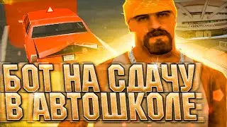 БОТ НА СДАЧУ ПРАВ В АВТОШКОЛЕ для Arizona RP