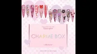February Daily Charm Subscription Box!