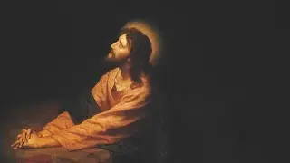 Finding Peace: 5 Insights from the Savior's Words