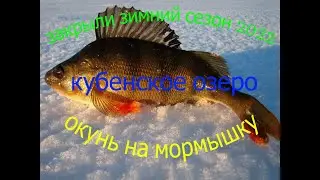 последний лед 2022.окунь на мормышку.Кубенское озеро.