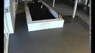 Havuza düşen çocuk son anda kurtarıldı