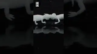 Axolotls take care of each other | Shorts
