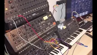 Korg MS20 Analog Synth vs Ipad app digital PART II