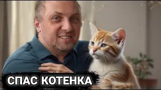 СПАС КОТЕНКА В ДУБАЕ | ЗУБАРЕВ | ЗУБАРЕВ В КИТАЕ