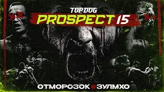 TOP DOG: PROSPECT 15, Podol'sk | Otmorozok VS Zulmkho