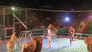 Про жизнь добрых цирковых зверушек