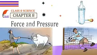 Class 8 Science Chapter 8 Force and Pressure