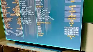LG OLED C1 G1 C2 G2 CX C3 Service menu ( как проверить наработку часов )