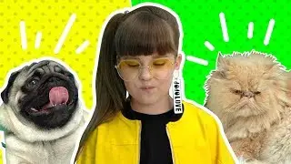 PETS AND Awful Nanny! CAT AND SAND AGAINST THE HARMFUL BABY!/Alisa Kisa