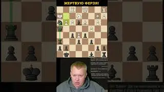 Жертвую Ферзя за мат! Шахматы