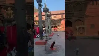 Guheshowari pashupati darsan