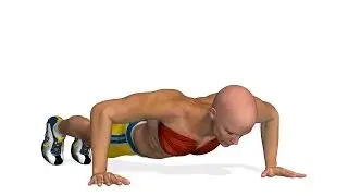 Chest Workout: Push-Ups