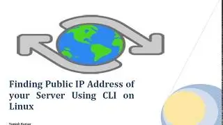 Find your Public IP using CLI on Linux