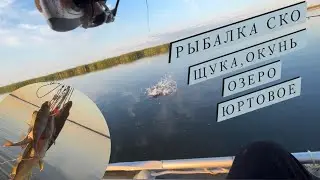 Рыбалка на спиннинг 2023/Щука , Окунь/Озеро Юртовое