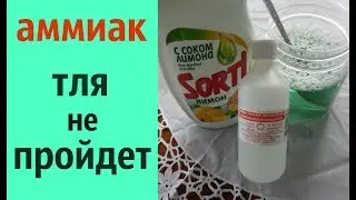 КАК ИСПОЛЬЗОВАТЬ АММИАК В БОРЬБЕ С ТЛЕЙ