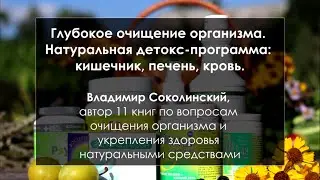 Натуральная детокс программа: кишечник, печень, кровь. 30 дней